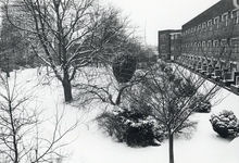 826854 Gezicht in de besneeuwde patiëntentuin aan de zuidzijde van het Diakonessenhuis (Bosboomstraat 1) te Utrecht.